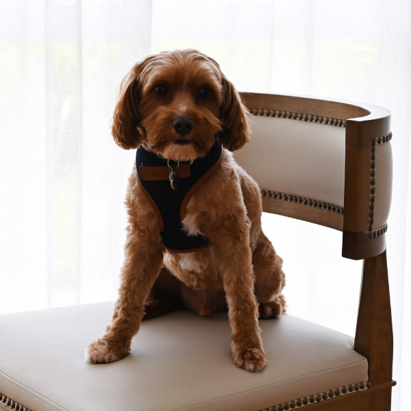 Parker Leather Dining Chair - Image 9