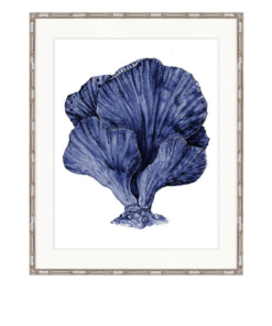 Coral Splendour No 8 | Designer Boys Art