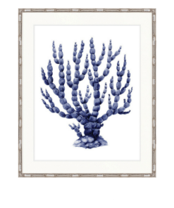 Coral Splendour No 9 | Designer Boys Art