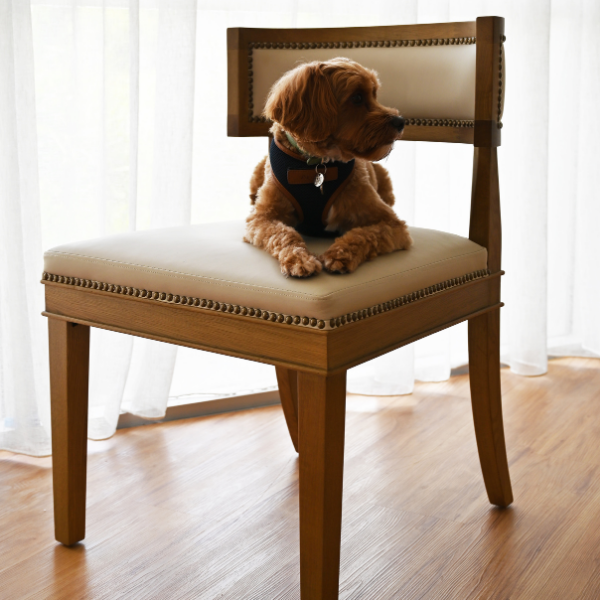 Parker Leather Dining Chair - Image 16
