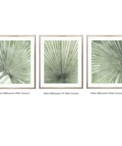 Mandalay Palm Framed Artwork Collection