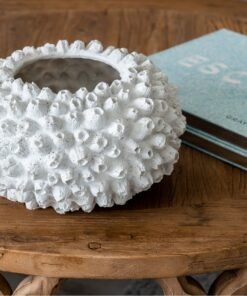 Alternative view of Shell Vase