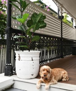 Alternative view of Positano Round Rustic White Fibre Clay Planter
