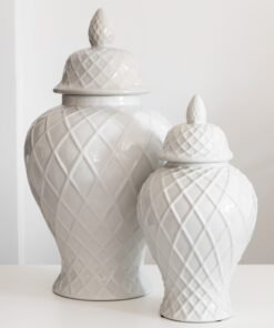 Intertwine Handmade White Ginger Jar