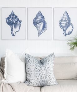 Alternative view of Shell 3 Medium Canvas In Square White Frame
