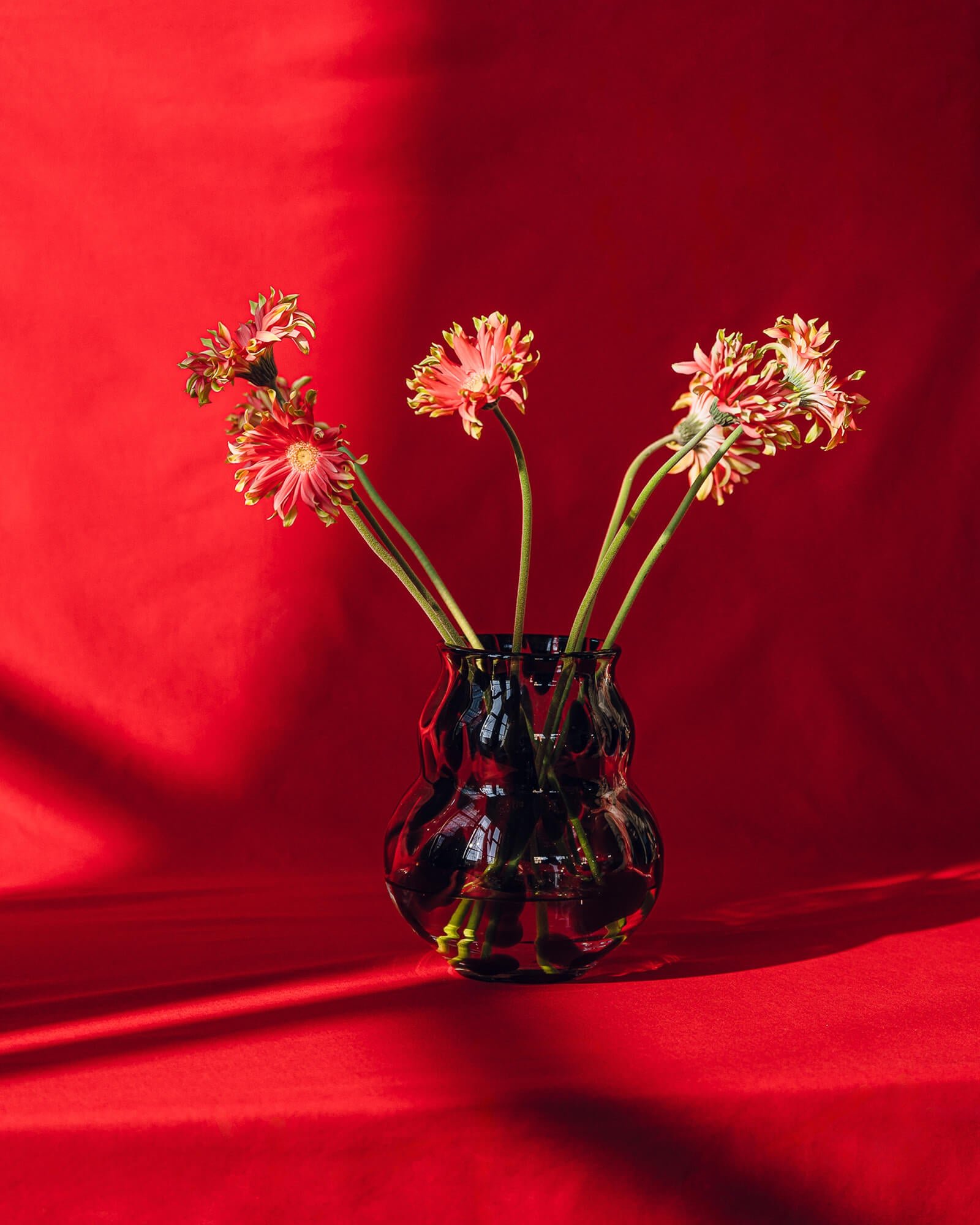 Dam Vase - Image 4