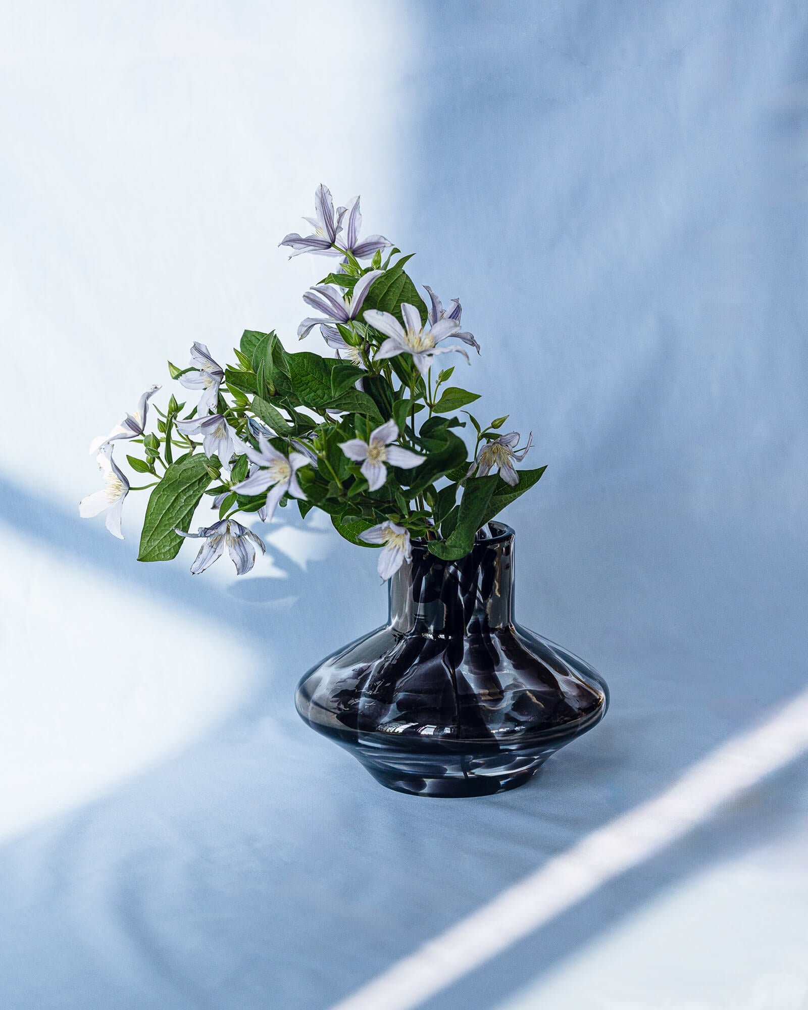 Dam Vase - Image 6