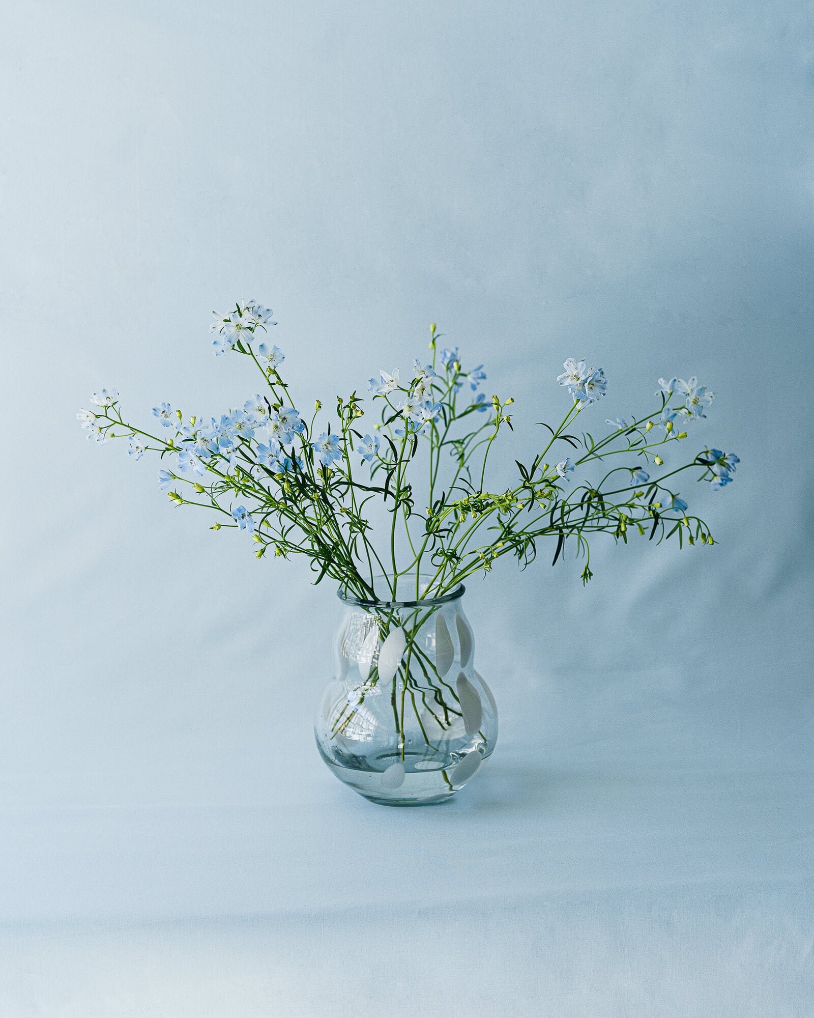 Dam Vase - Image 7