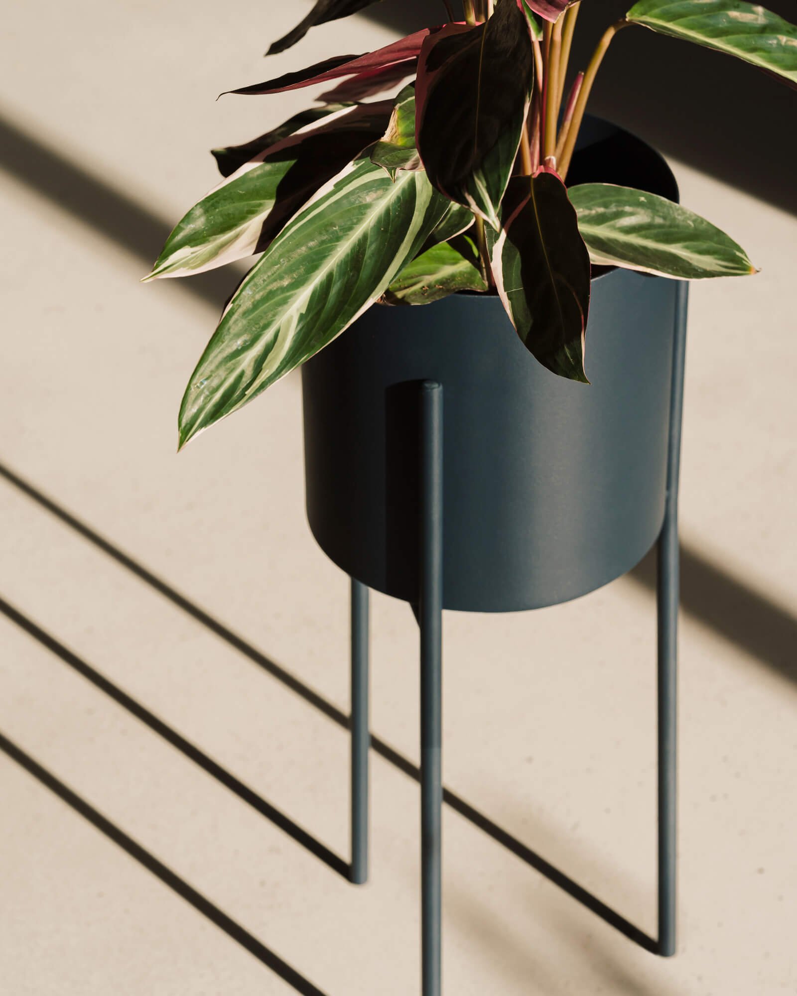 Maki Plant Pot - tall - Image 3