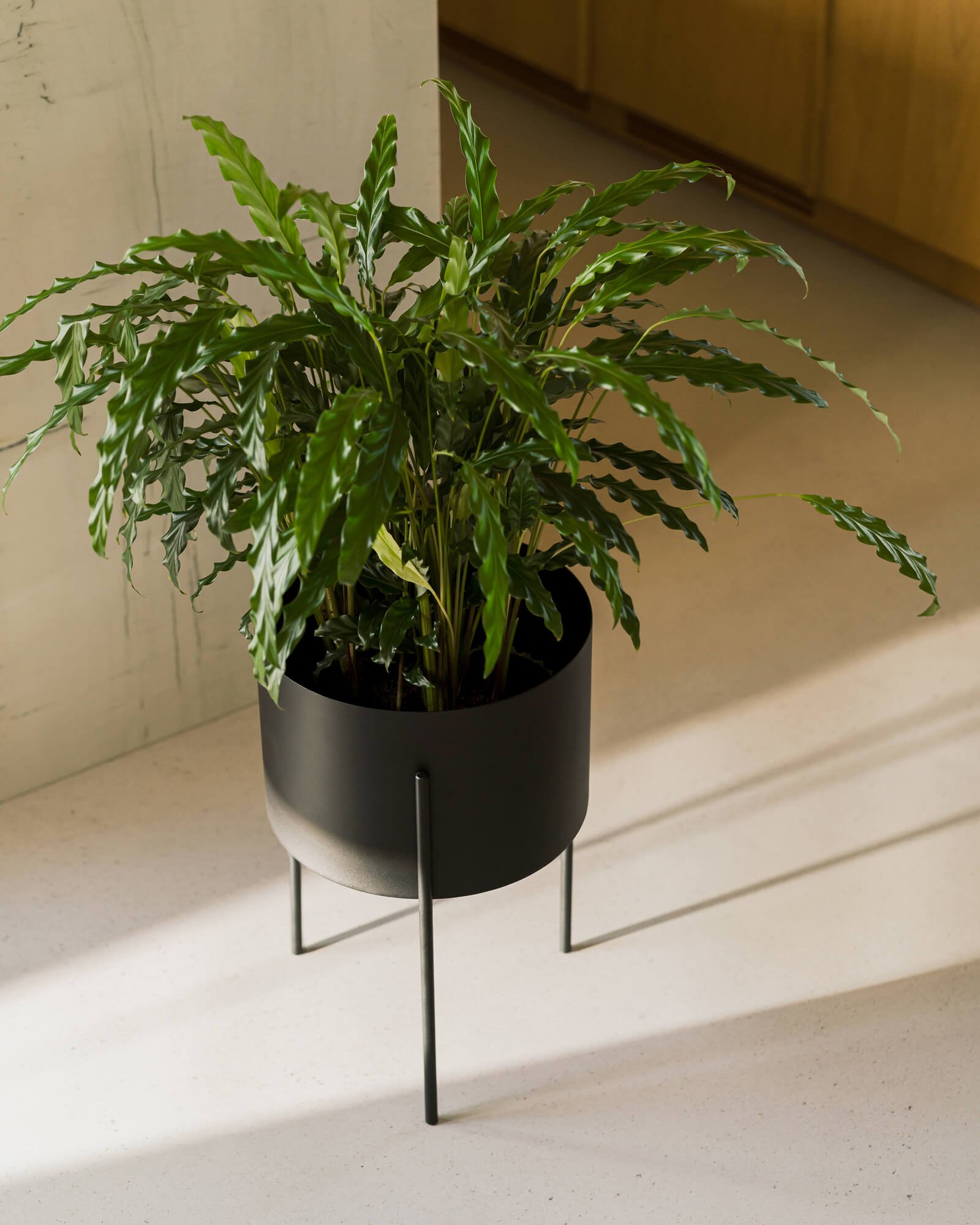 Maki Plant Pot - tall - Image 7