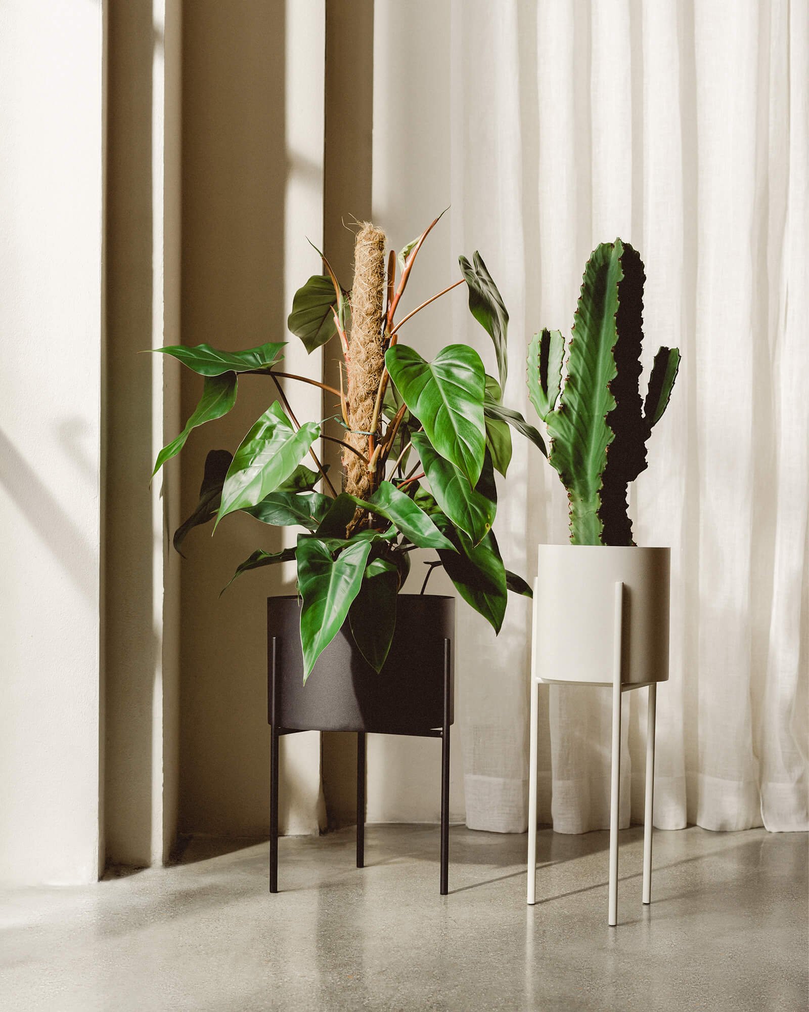 Maki Plant Pot - tall - Image 8