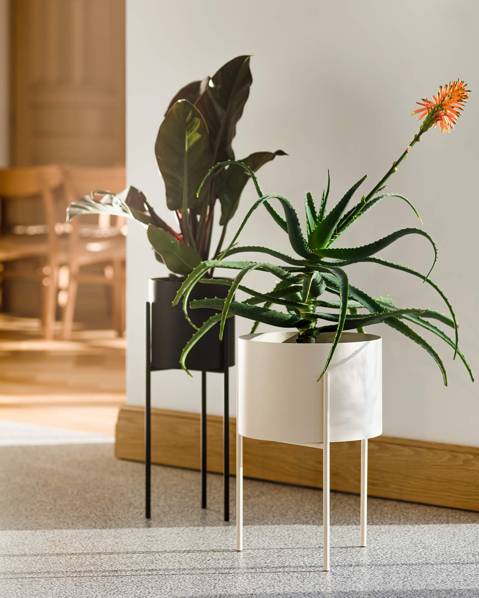 Maki Plant Pot - wide - Image 9
