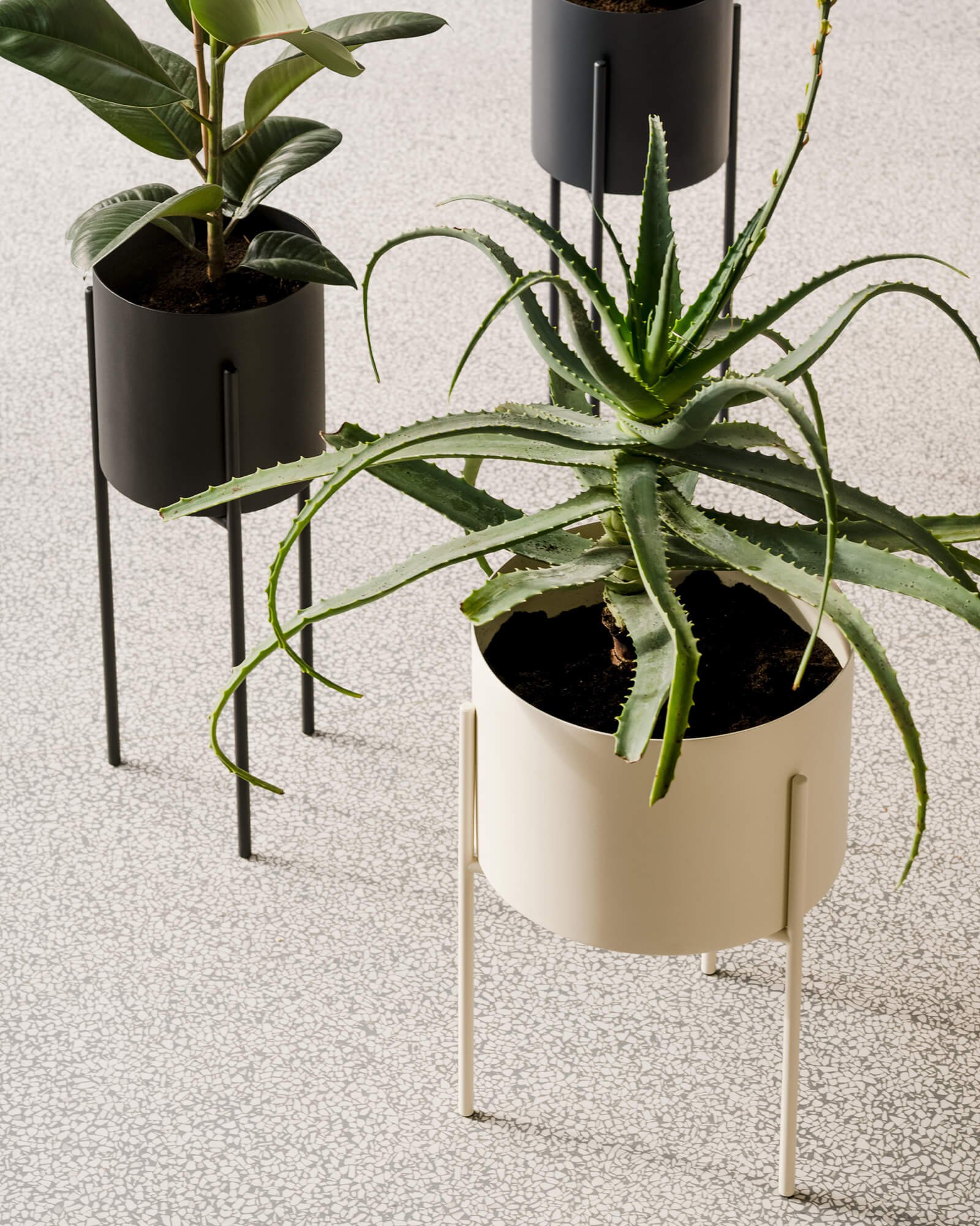 Maki Plant Pot - wide - Image 2