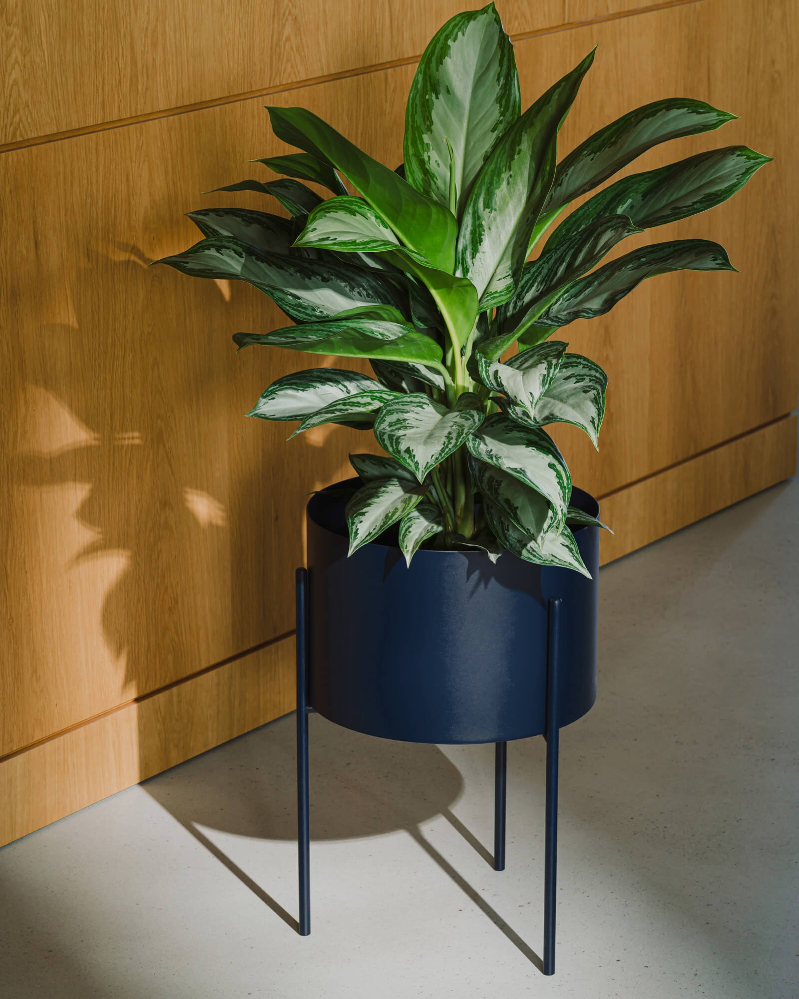 Maki Plant Pot - wide - Image 6