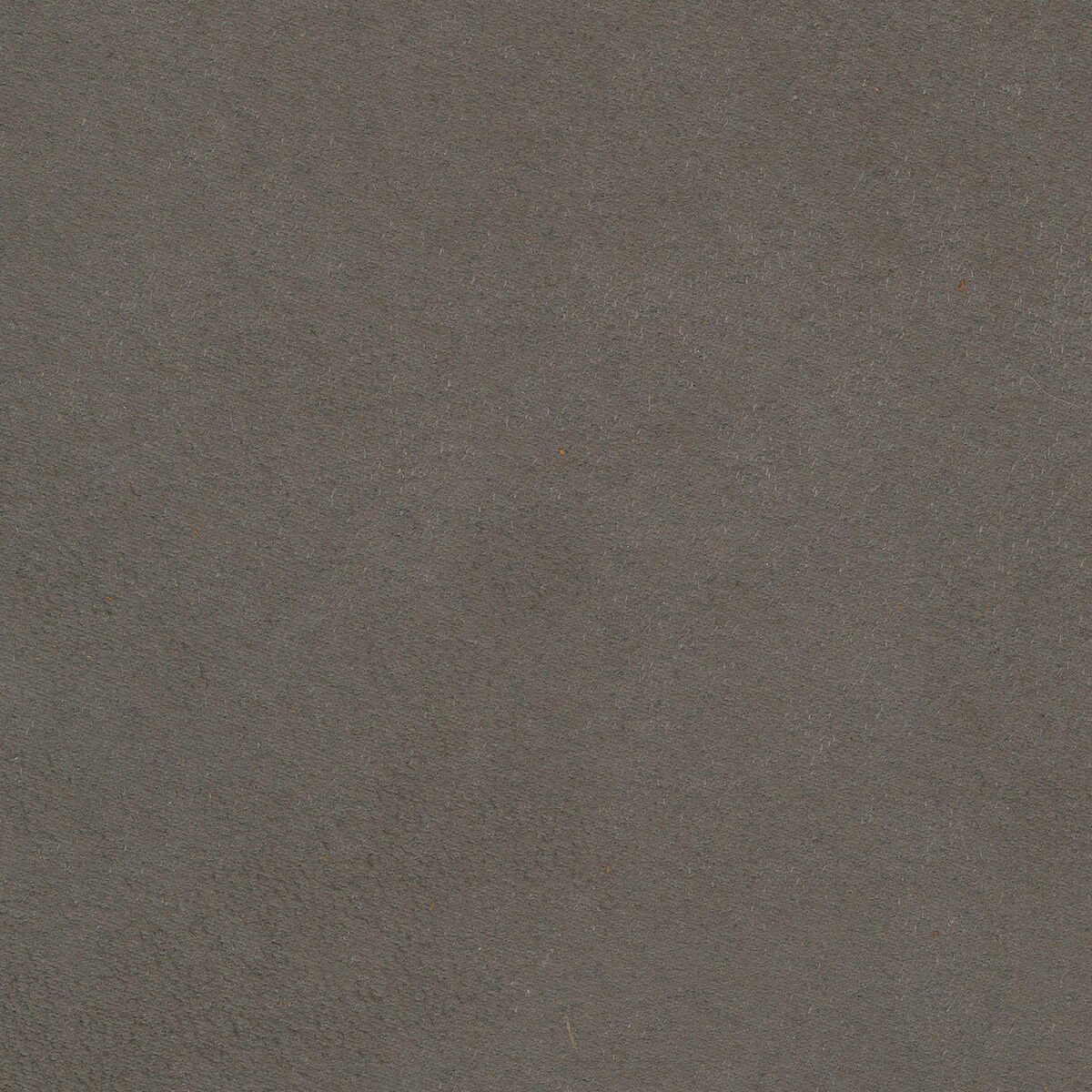 Marcy Chair - Image 3