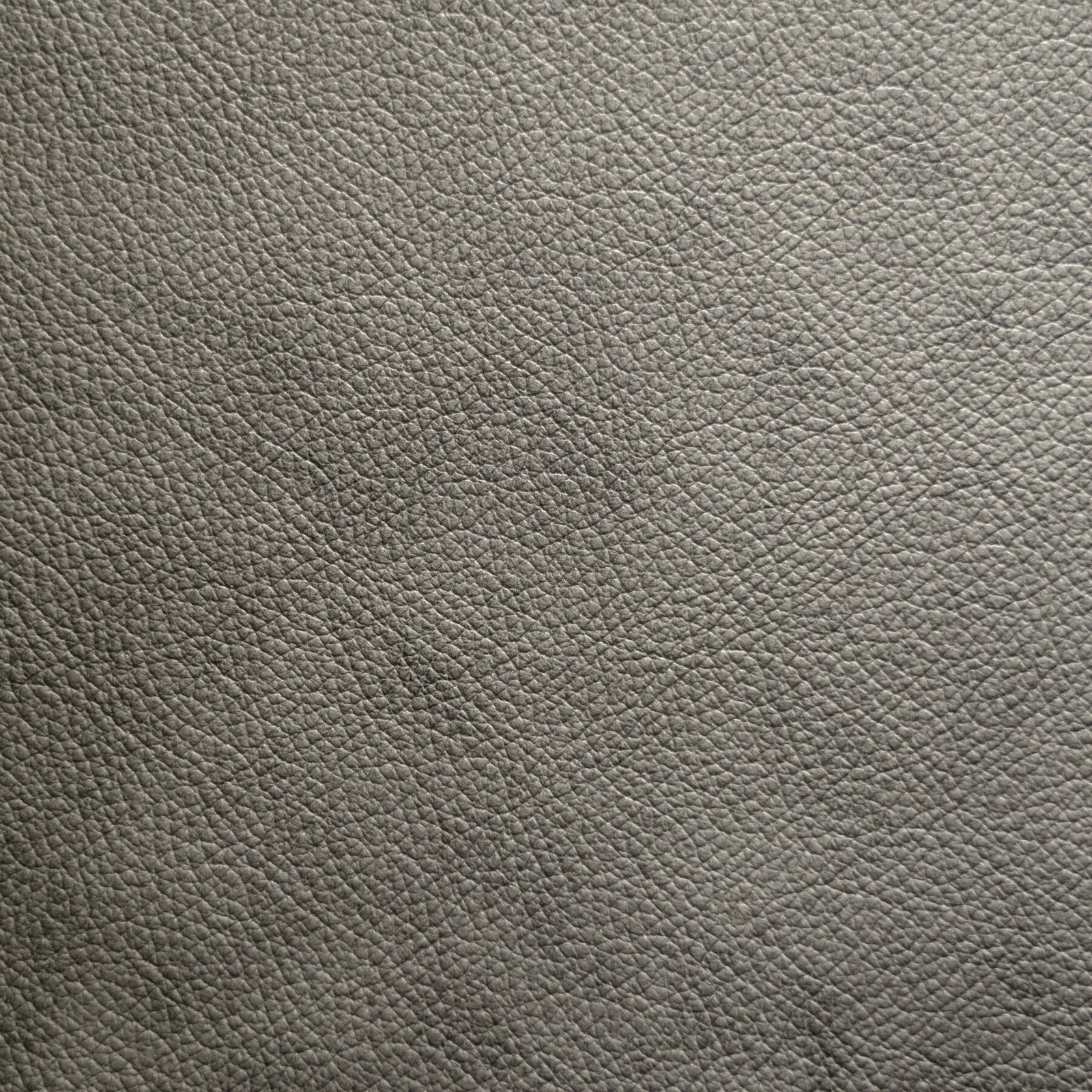 Nico Leather Sleeper Loveseat - Image 17