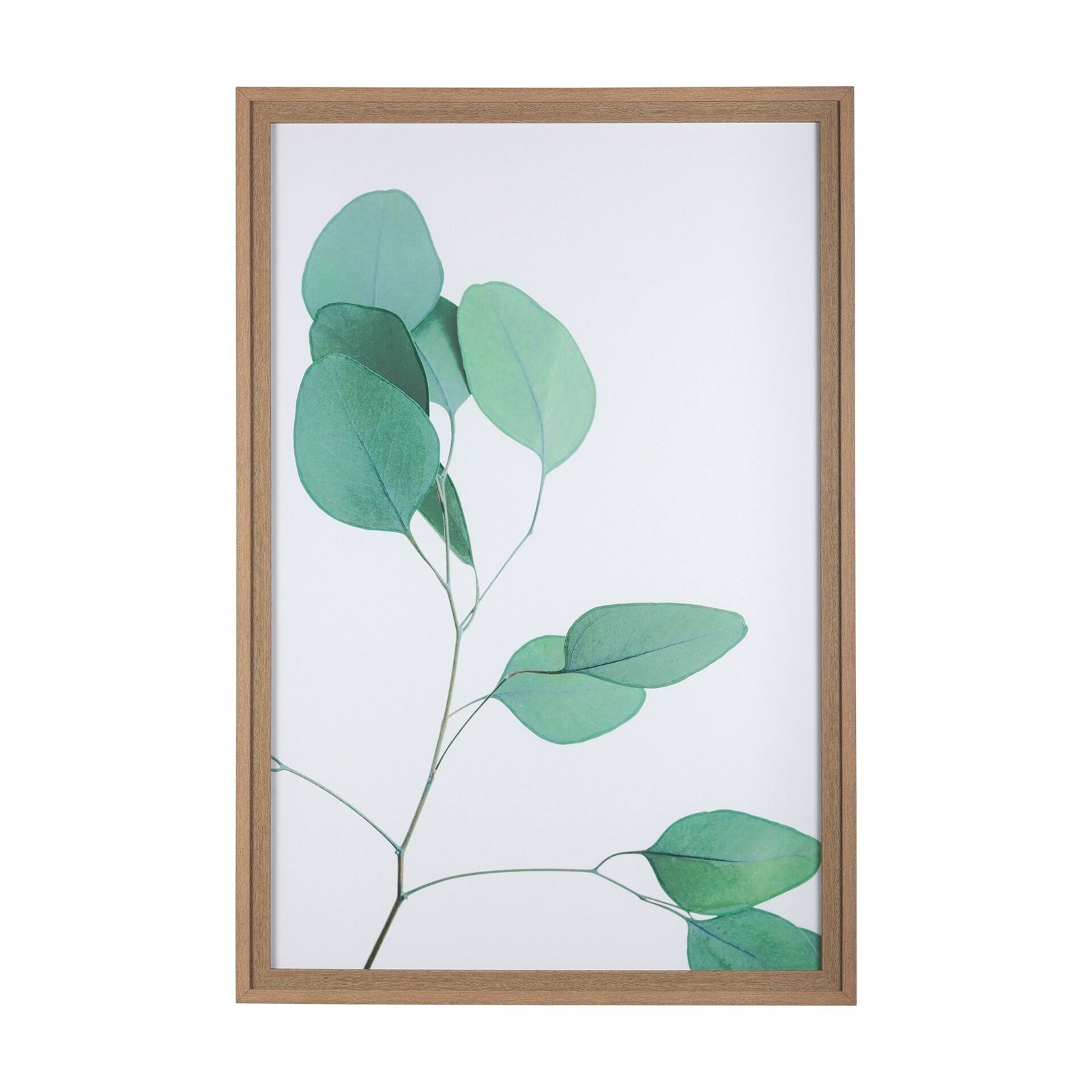 Nature Calm Lull Wall Art