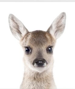 Alternative view of Kids Deer Face Wall Art