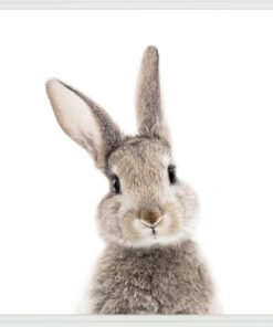 Alternative view of Kids Rabbit Face Wall Art