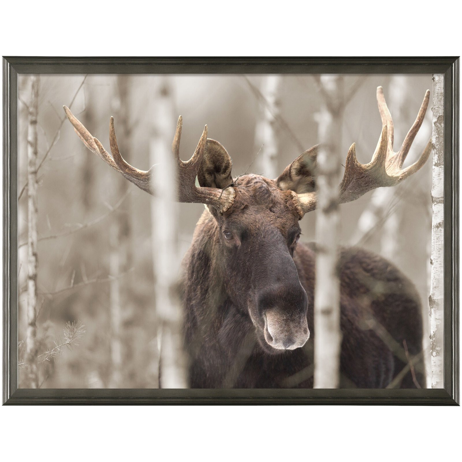 Moose II Wall Art