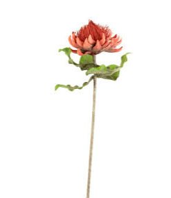 Alternative view of Botanical Crown Top Greenery