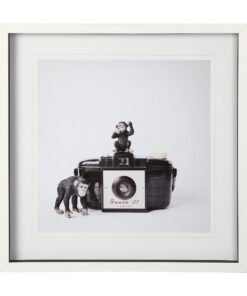 Monkeys Wall Art