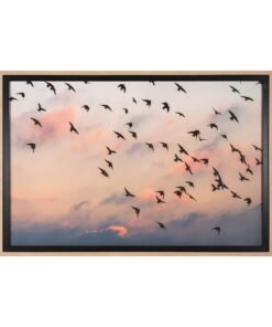 Evening Flight Wall Art