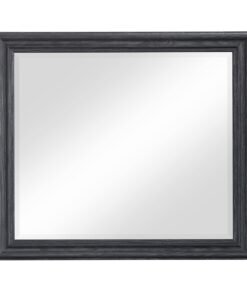 Trenton Mirror