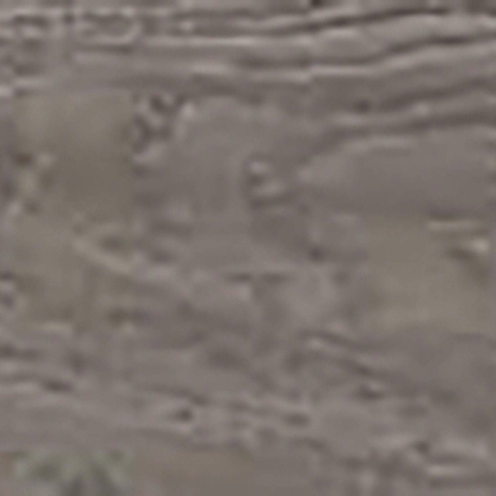 Forge Bed - Image 8