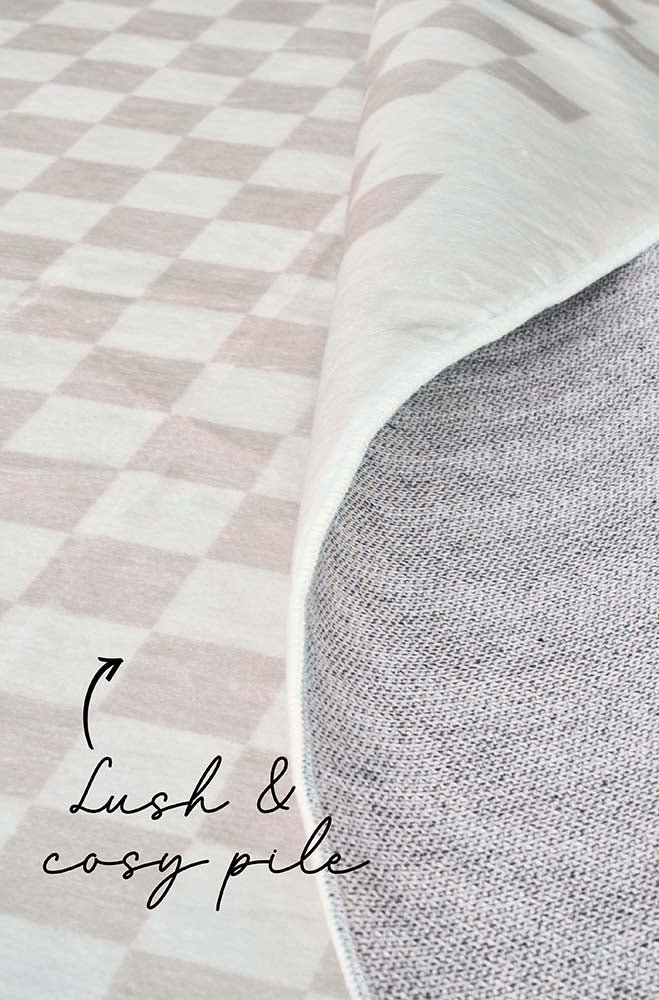 Zander Natural Check Rectangle Rug - Image 6