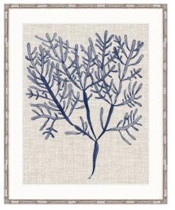 Delicate Seaweed Iii By Designer Boys