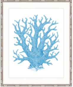 Coral Splendour Pale Blue Xiii