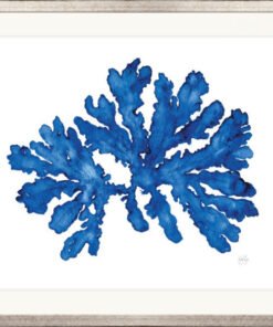 Indigo Coral I