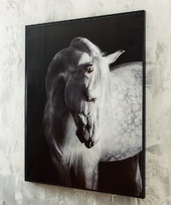 Ashley Express - Archerwick Wall Art