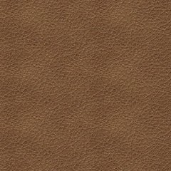 Bolsena Sofa and Loveseat - Image 5