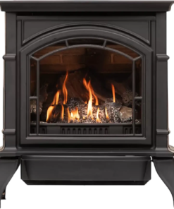 Ashley Hearth AG23 Gas Stove Cast Iron Dual Fuel Natural Gas Propane 23,500 BTU 1,000 sq. ft New